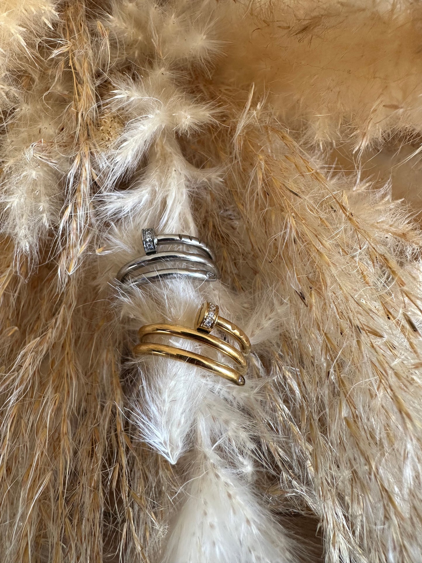 Anillo Doble Ángel