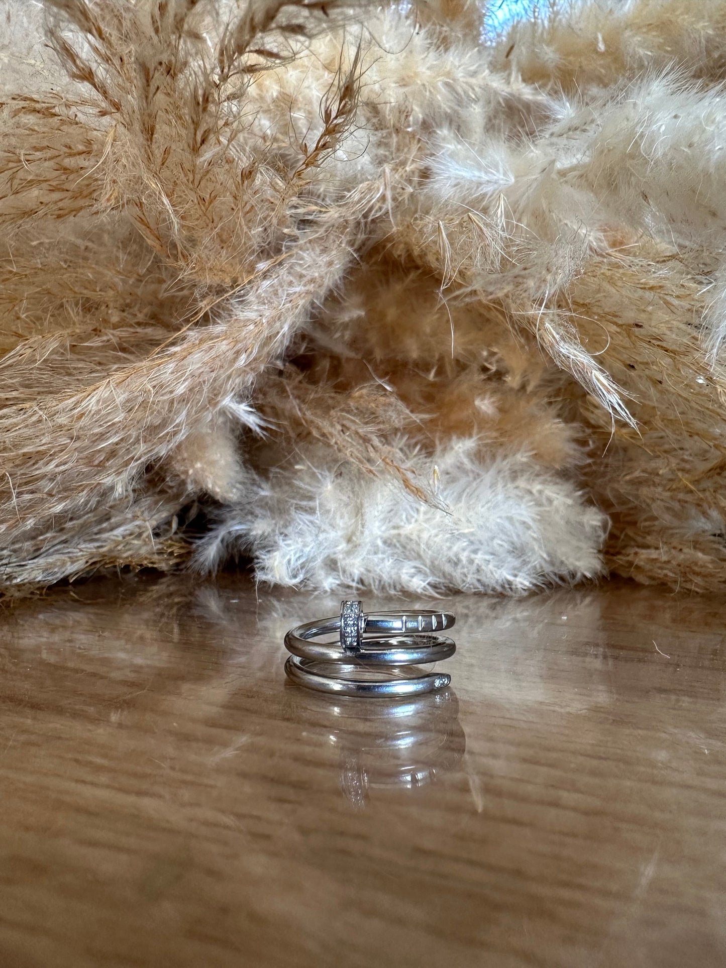 Anillo Doble Ángel