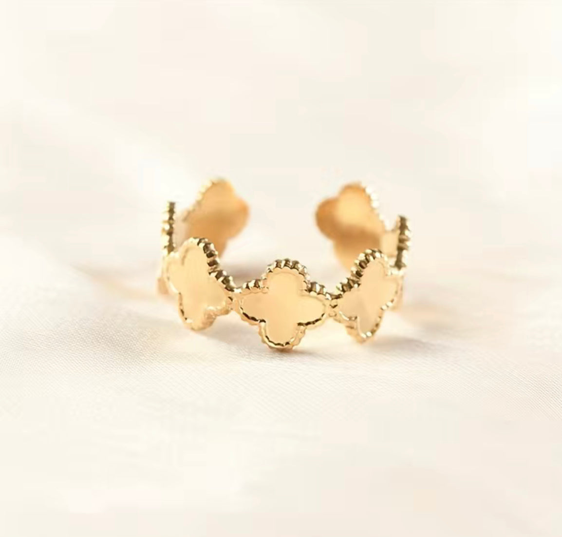 Anillo Aïtana
